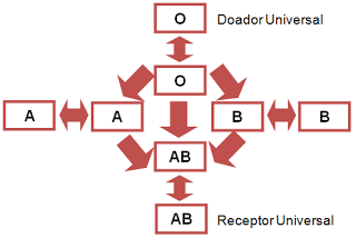 quem doa pra quem - Cientistas Transformaram Sangue Tipo A Em Doador Universal