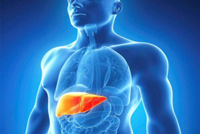 hepatite1 - Hepatite: Sintomas, Transmissão, Tratamento e Prevenção