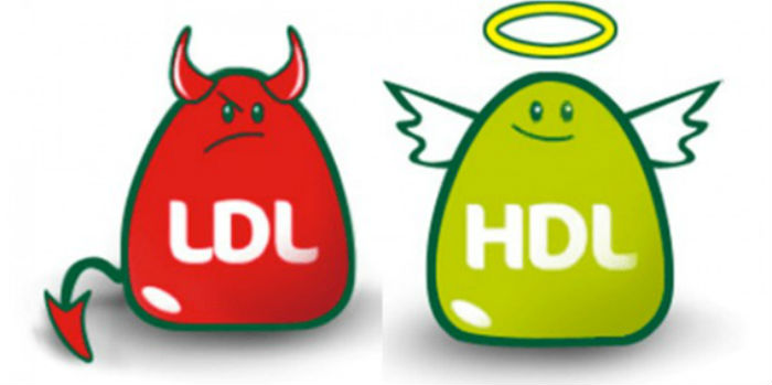 HDL x LDL2 - Colesterol: Vilão ou Herói?